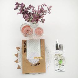 ערכות יצירה לחגים - פסח